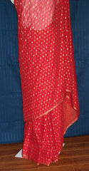 Saree 1252 Red Block Printed Chiffon Party Wear Sari Saris Shieno Sarees