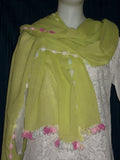 Scarf 1618 Pista Green Unbleached Cotton Crinkled Dupatta Chunni Shawl Shieno