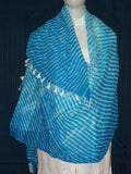 Scarf Stole Dupatta Blue