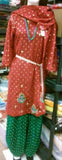 Suit 5096a Georgette Patyala Red Kameez Green Patyala Salwar Medium Size