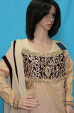 Pakistani 8400 Beige Gold Crushed Silk Salwar Kameez Dupatta Suit Large Size