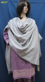 Pakistani 8527 Plum Winter Salwar Kameez Dupatta Suit Large Size